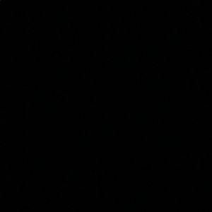 Meet your Posher, Taryn